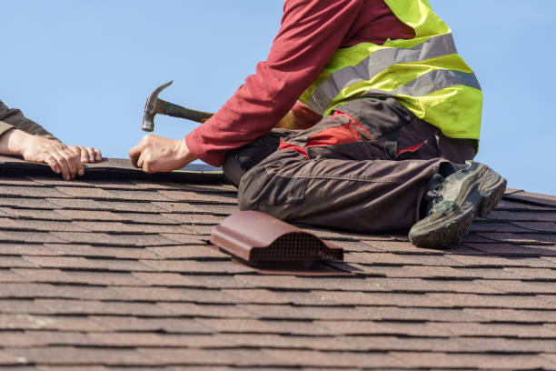 Best Metal Roofing Contractor  in Cave Spring, VA