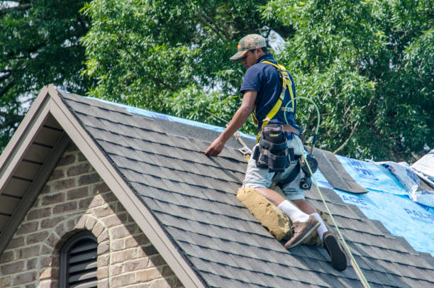 Best Shingle Roofing Installation  in Cave Spring, VA